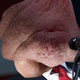 Illustration for article titled Is This How the Rest of the World Views Donald Trump?